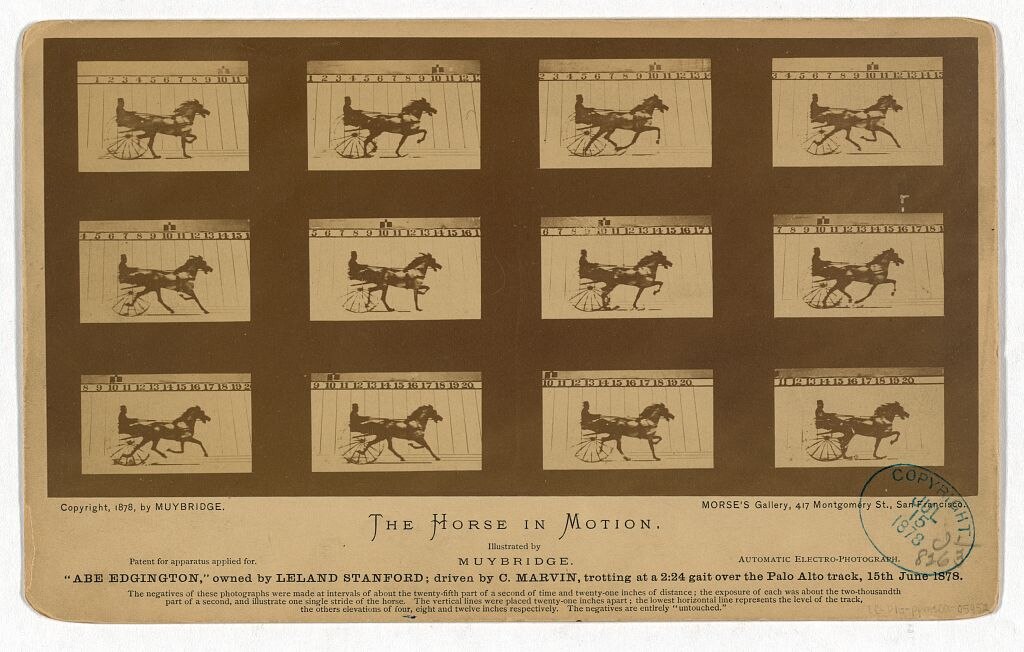 Eadweard Muybridge, The Horse in Motion, 1878